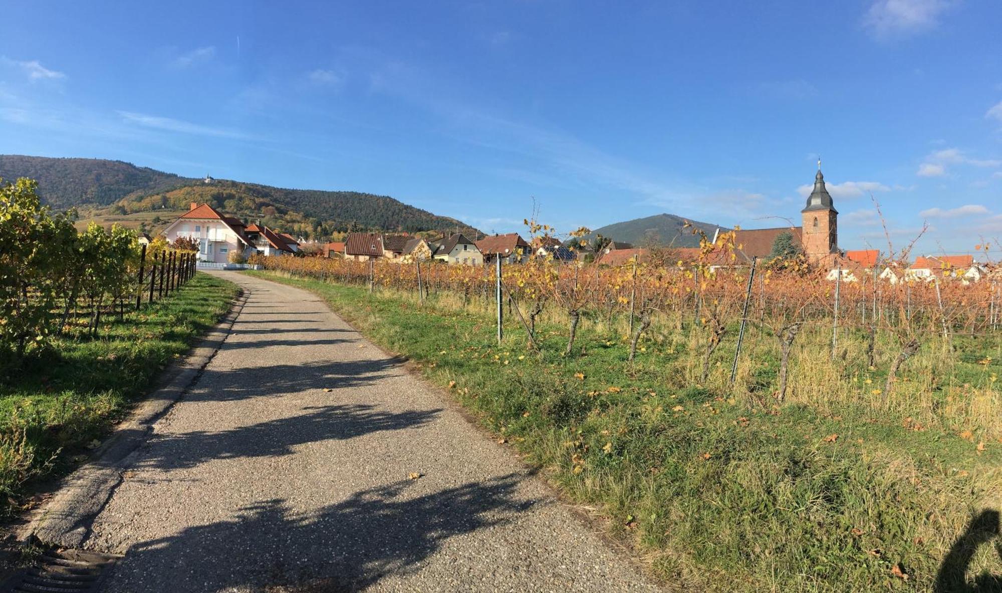 Ferienwohnung Suedpfalzblick Burrweiler Esterno foto