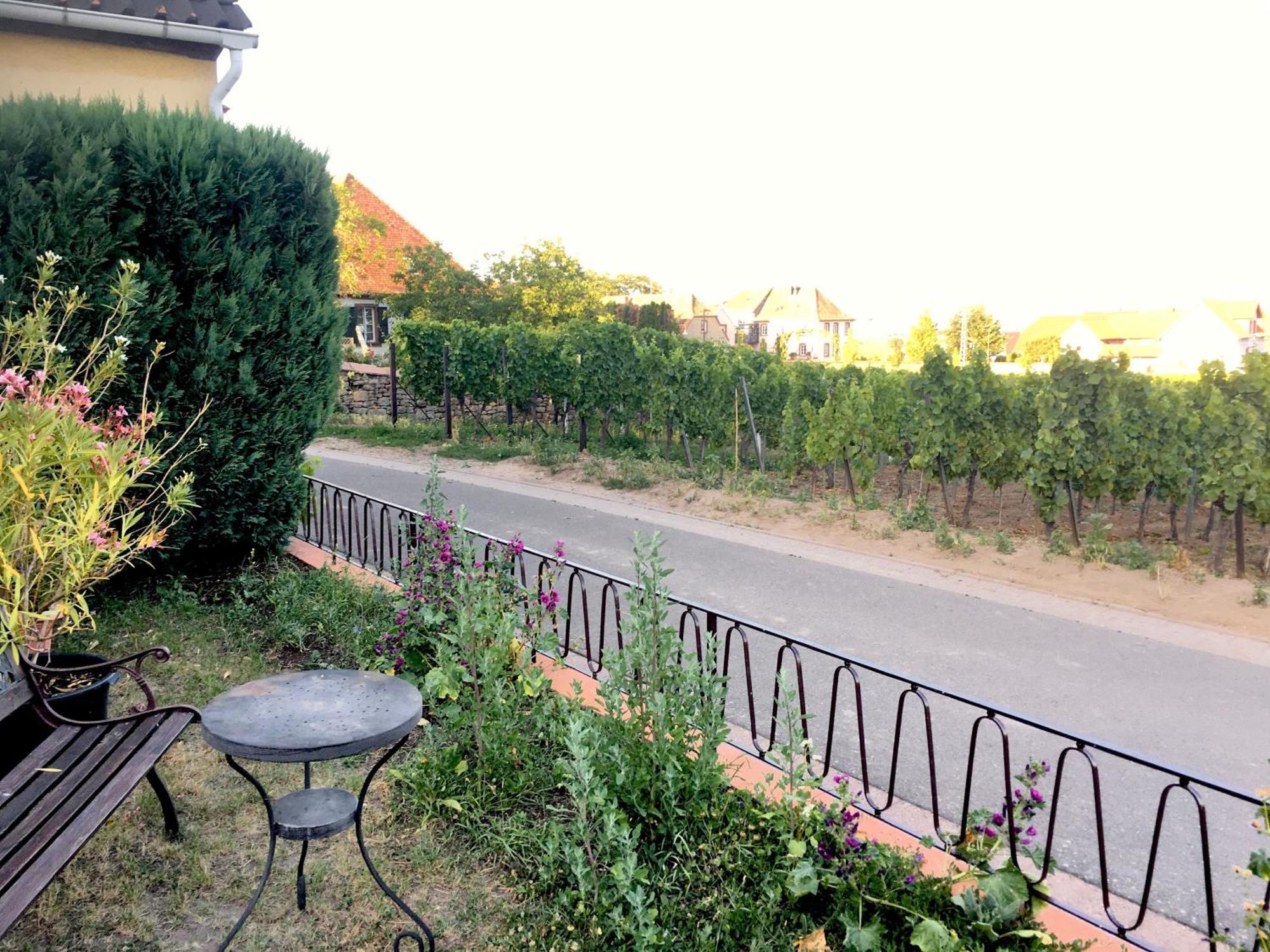 Ferienwohnung Suedpfalzblick Burrweiler Esterno foto
